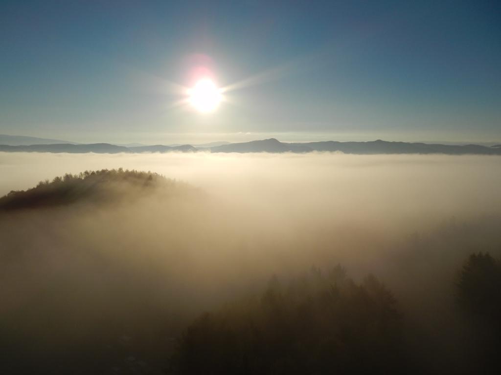 Shin Furano Prince Hotel Екстер'єр фото Fog over the Black Forest